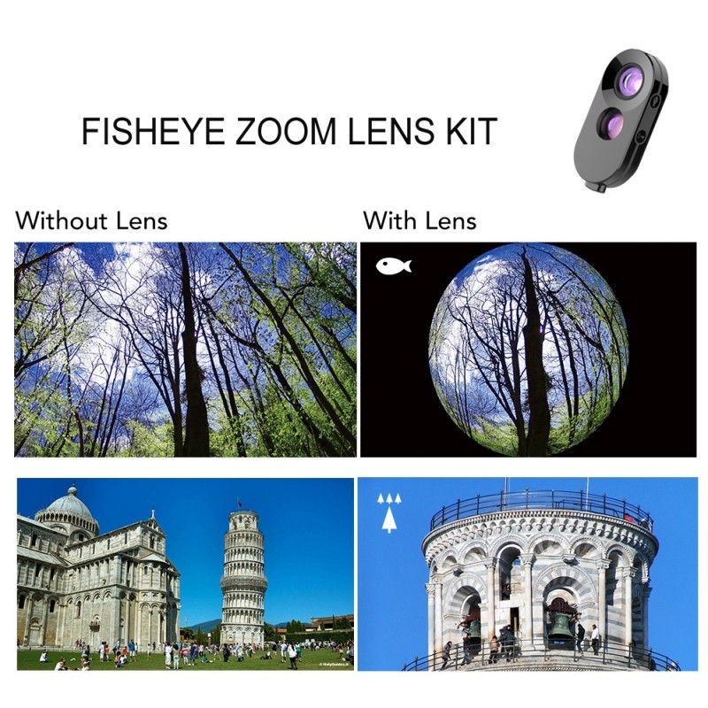 dual fisheye lens